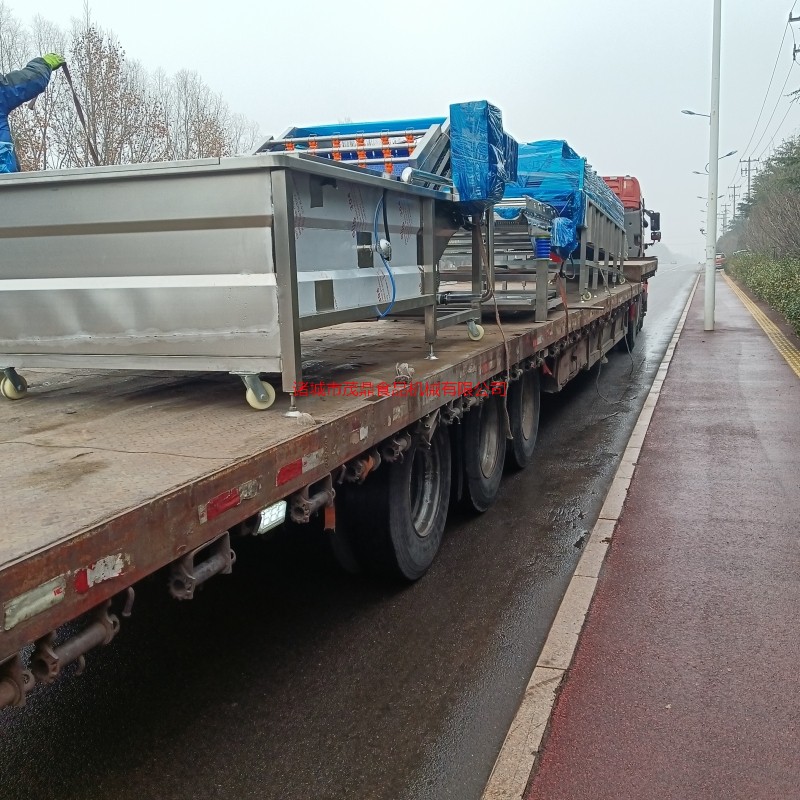 水果蔬菜氣泡清洗機包裝袋食品吹干線瀝水振動篩根莖類農(nóng)作物風干流水線設(shè)備制造廠家
