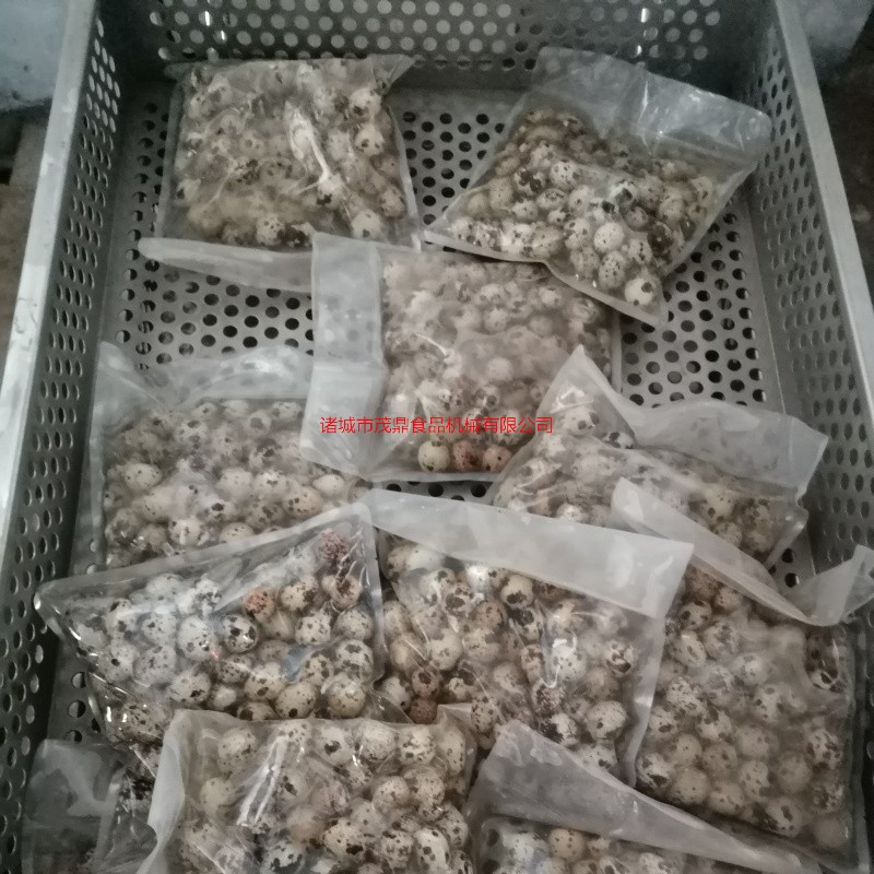 休閑食品鹵鵪鶉蛋袋裝食品殺菌鍋鴨蛋燒雞粽子延長保質(zhì)期不銹鋼殺菌釜送貨上門